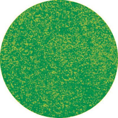 Green Fine Glitter Dust 4.5 G